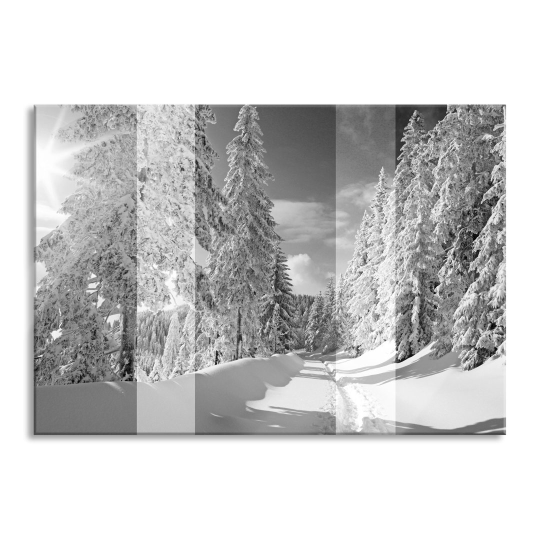 Glasbild Winterlandschaft mit Bäumen