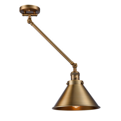 Bras pivotant à 1 lumière Paylor