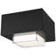 Leagan LED Outdoor Flush Mount