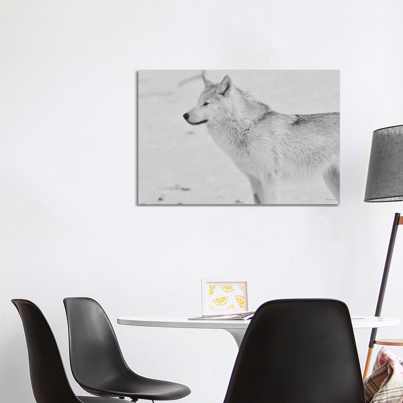 White Wolf by Gordon Semmens - Wrapped Canvas Print, 101.6 cm H x 66.04 cm W x 1.91 cm D