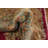 Vegetable Dye Square Large Rug 12x12