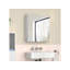 Rosabela W H Medicine Cabinet Mirror-453624458