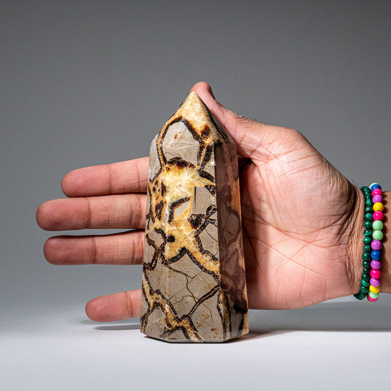 Genuine Polished Septarian Point from Madagascar (1.3 Lbs)