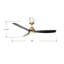 Ventilateur de plafond intérieur/extérieur de 60 po à 3 pales DEL 5CCT - Pales en laiton et noir mat avec lentille gravée-1699621039