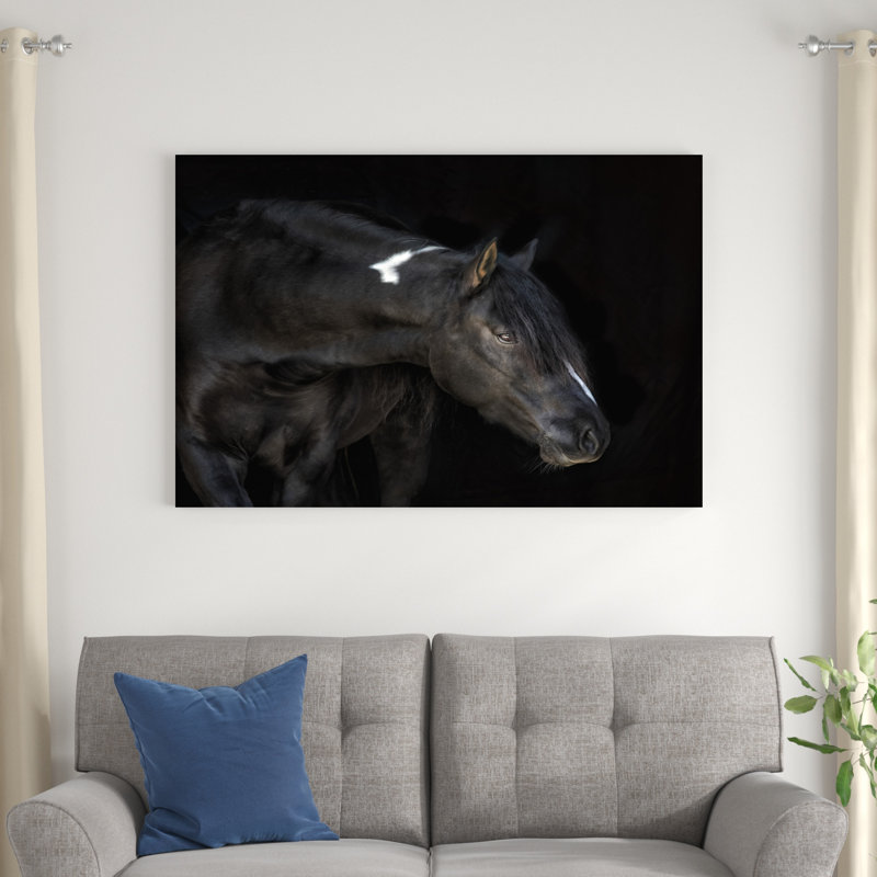 «Equine Portrait IV» par PHBurchett - Photographie sur toile tendue, H 32 po x l 48 po