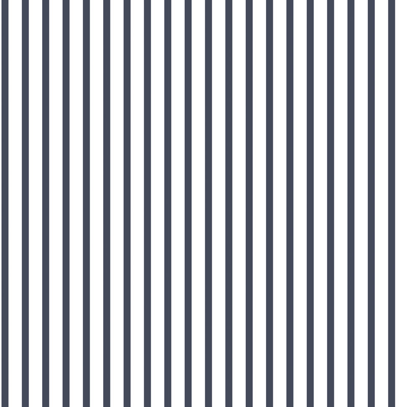 Franklinville 10m x 53cm Matte Paste the Wall Wallpaper Roll, Navy/White