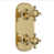 Unlacquered Brass
