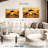 Flying Dolphins-107949815