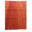 Tapis rouge rouille Parrett