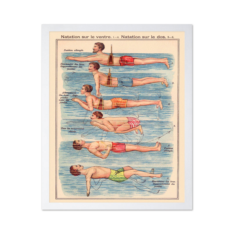 Frederich Eduard Bilz - Natation, Affiche, H 24 po x l 32 po, Encadrement blanc