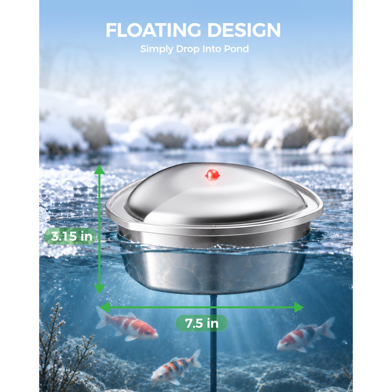 Chauffe-eau flottant 300W