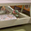 Cozee Zen Bedside Crib-125546139