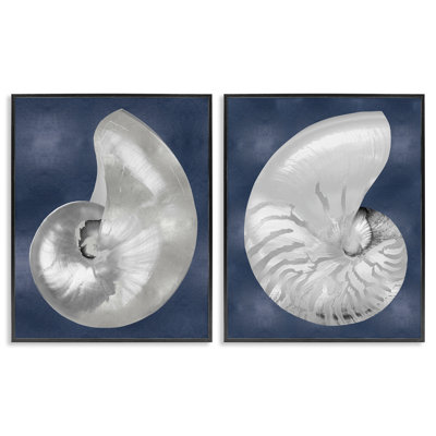 Nautilus, ensemble de 2 giclées sur spirale sur fond bleu, design par Caroline Kelly