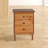Bhuneshwar 3-Drawer Solid Wood Nightstand-1894905291