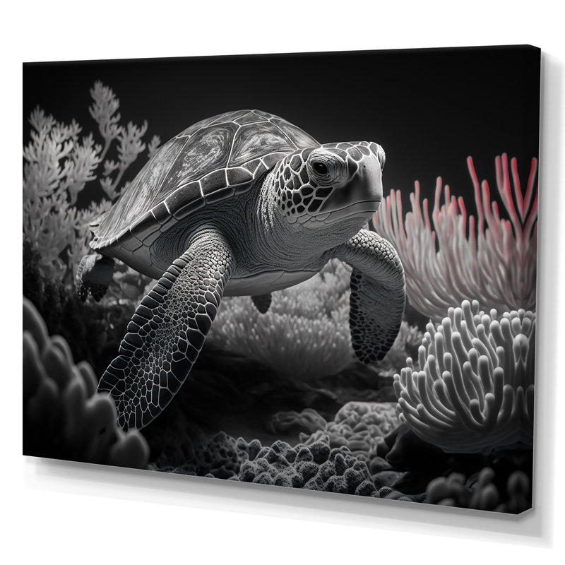 «Black and White Deep Sea Turtle», reproduction sur toile, H 12 po x l 20 po x P 1 po, Toile tendue