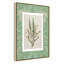 «Jade Botanical II Print» par Carol Robinson-2480866-2480881-2480882