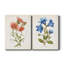 «Botanical I», ensemble de 2 reproductions d'art-272082550-271774482-272082556