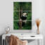 Panda grimpant Brampt-108543928
