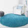 Jiang Shag Turquoise Area Rug