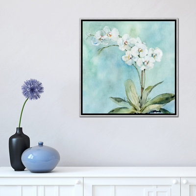 " Sunlit Orchid " by Carol Robinson