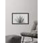 Agave bleue en gris - photographie avec cadre photo-1572082662