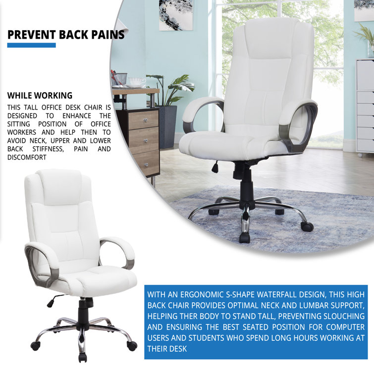 https://assets.wfcdn.com/im/92993425/resize-h755-w755%5Ecompr-r85/2105/210562039/High+Back+Executive+Premium+Faux+Leather+Office+Chair+with+Back+Support%2C+Armrest+and+Lumbar+Support.jpg