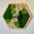 Moss Wall Art