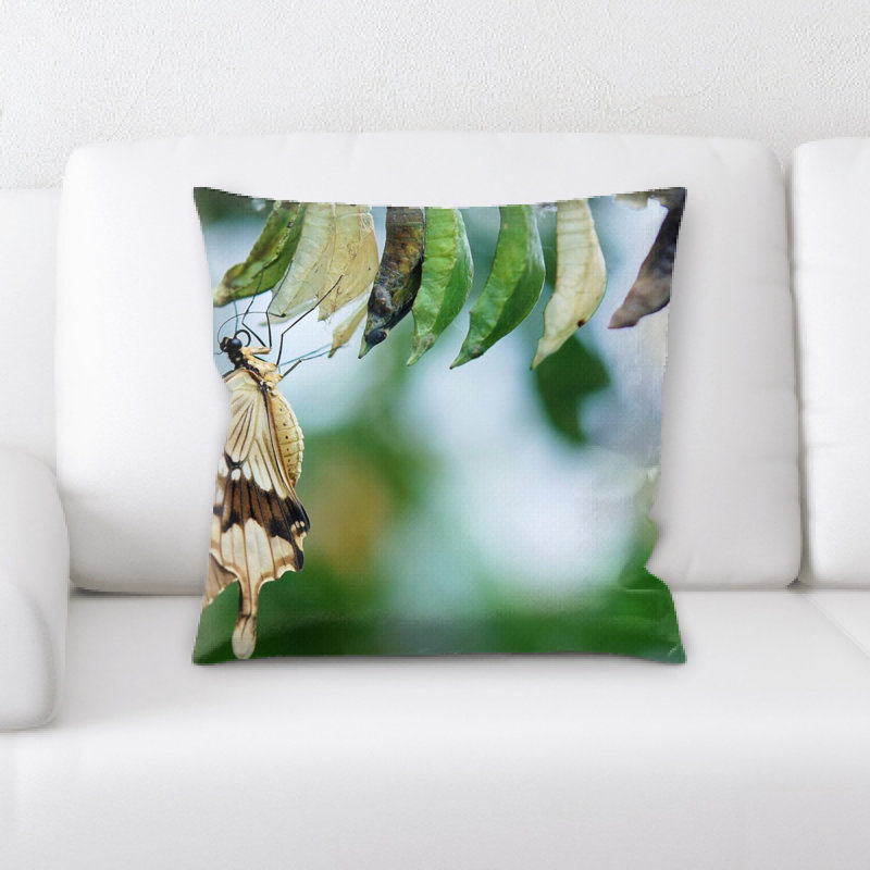 Coussin brun