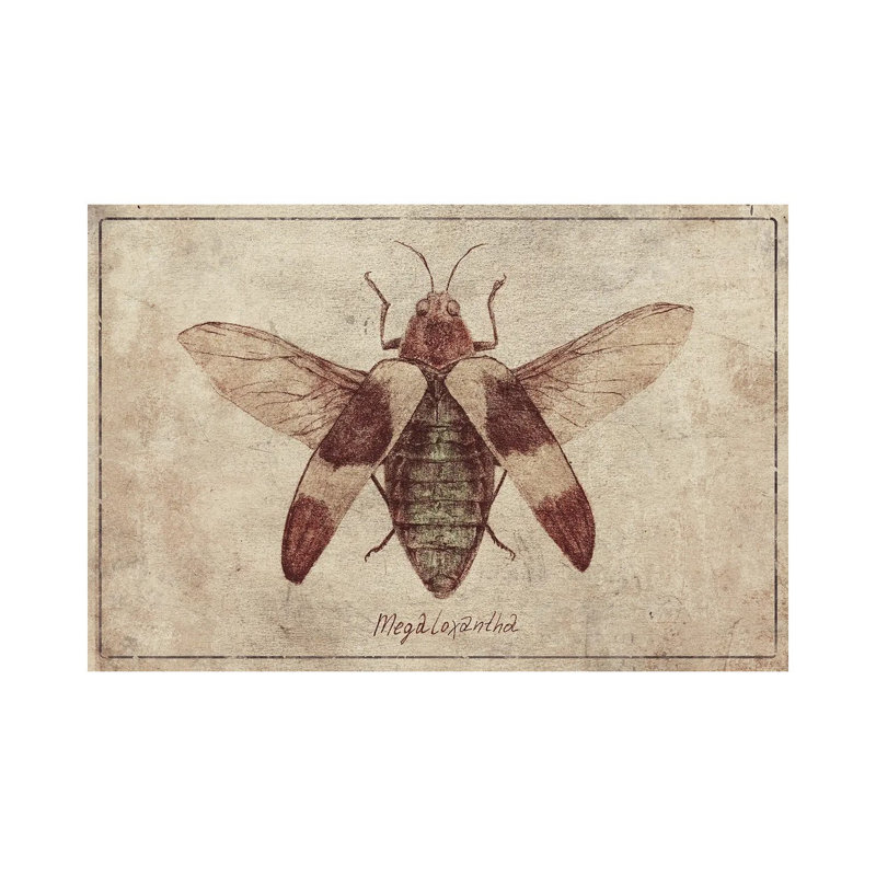 Megaloxantha 2 by Mike Koubou - Wrapped Canvas Print, 101.6 cm H x 66.04 cm W