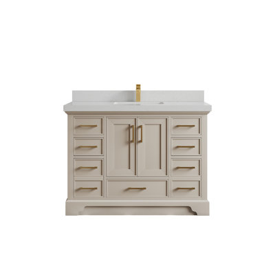 Charlotte 48'' Single Bathroom Vanity with Top