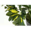 95cm Faux Banana Leaf Plant in Pot