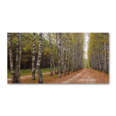 Avenue of Birches 1 Piece Wrapped Canvas Wall Art