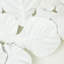 Fiddle 18 - Light Design Wall Light-738339462
