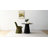 Hennigan Upholstered Dining Chairs with Sculptural Base-116574593
