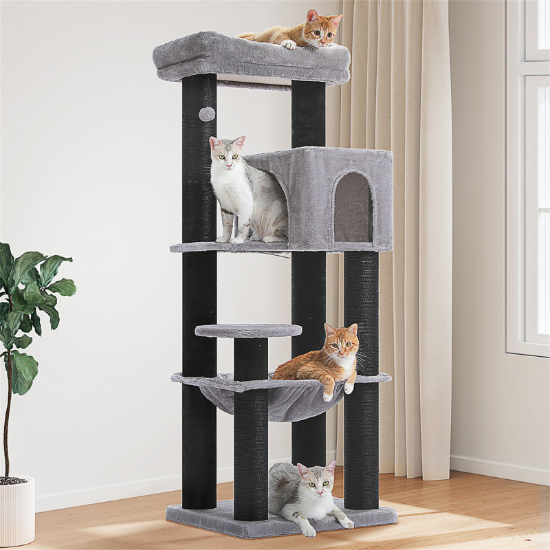 Arbre à chat, Gris foncé