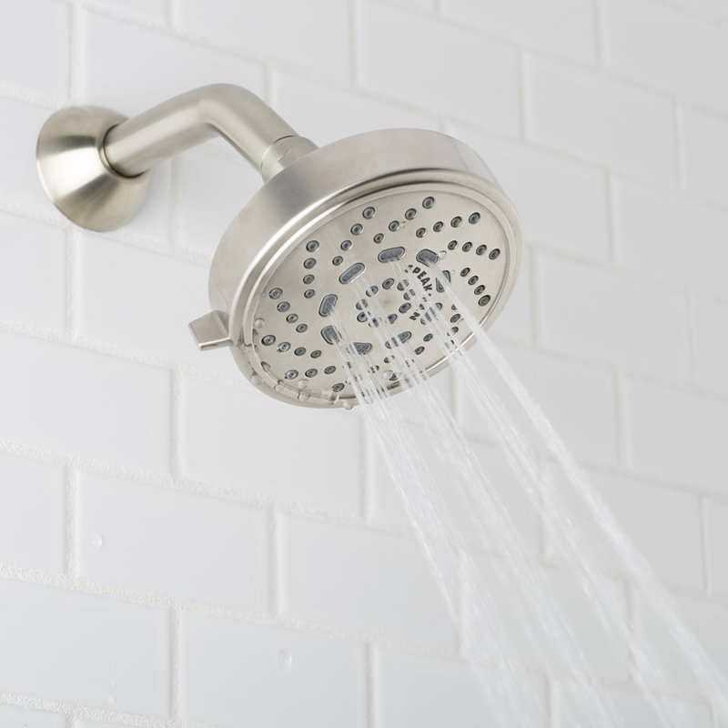 Echo Brushed Nickel Multi-Function Adjustable Shower Head