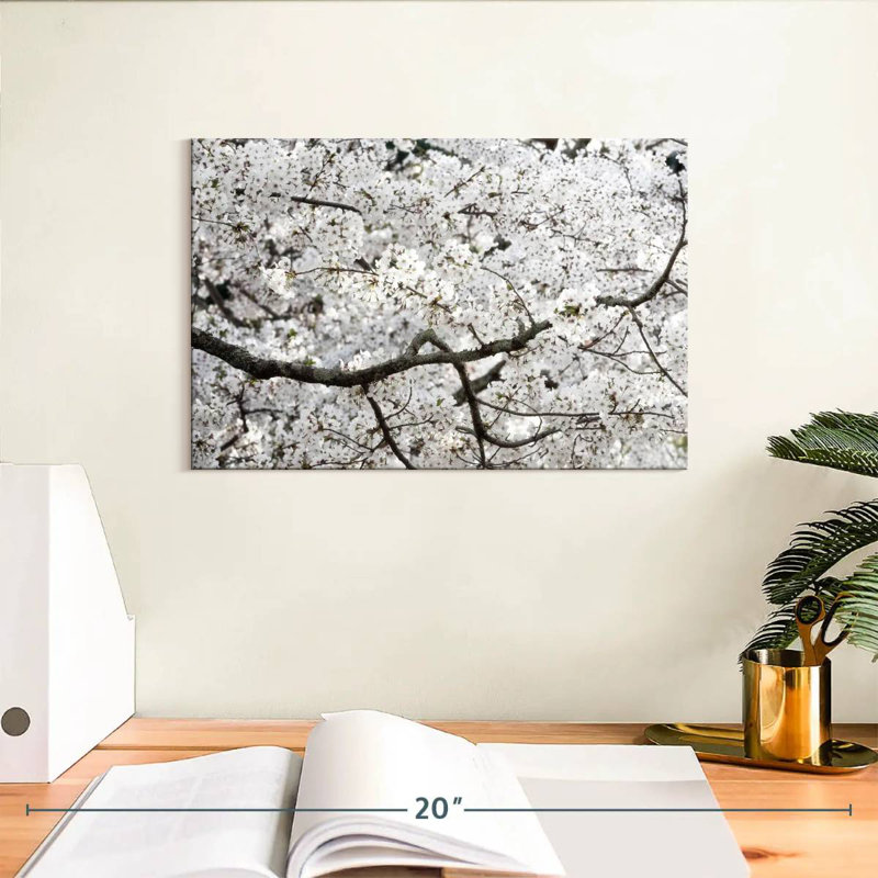 Sakura Cherry Blossom, 8" H x 12" W