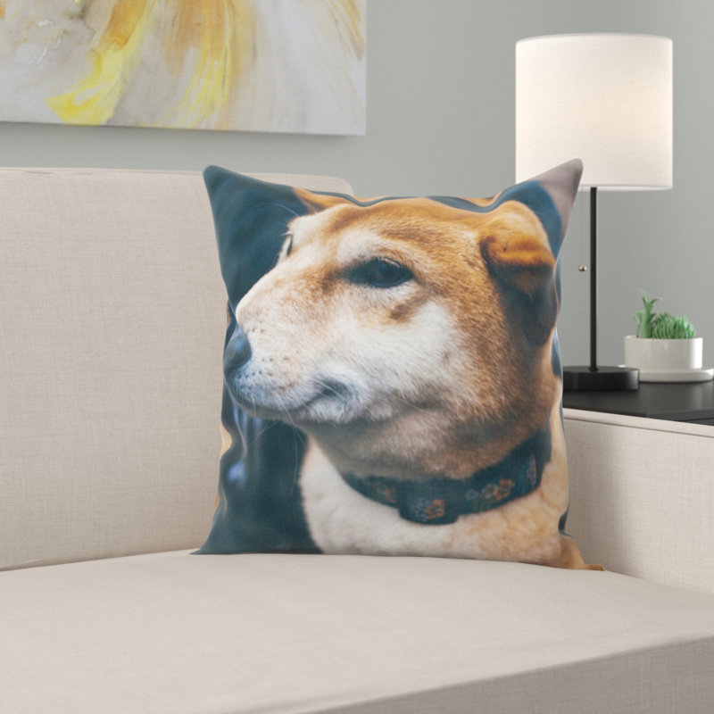 Coussin pour chien