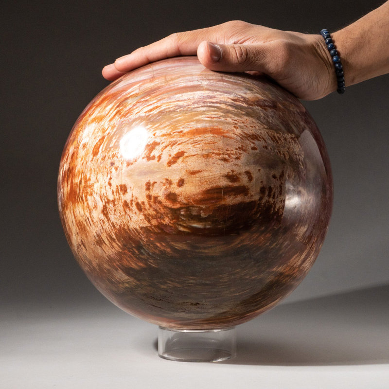Genuine Large Polished Petrified Wood Sphere From Madagascar (8.5", 31.5 Lbs)