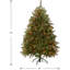 Sapin de Dunhill avec lumières multicolores