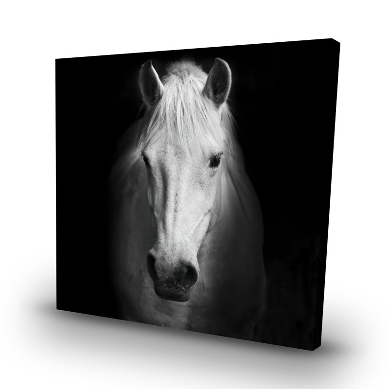 Monochrome horse - 32"x32" art on canvas