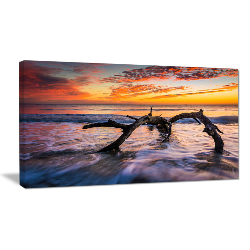 «Tree and Waves in the Atlantic Ocean Seashore», reproduction de photo sur toile tendue, H 16 po x l 32 po x P 1 po