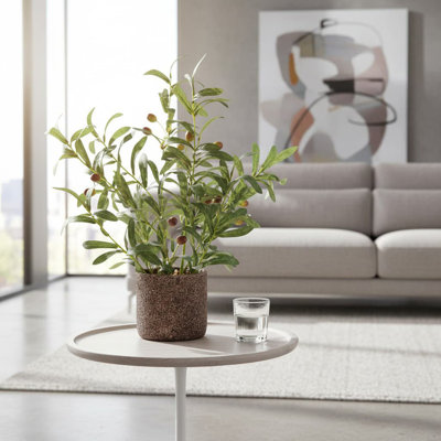 45.72cm Plant