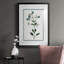 Shabby Elegance Botanical II, reproduction encadrée de qualité supérieure - prête à être accrochée-1427717059-1427717061