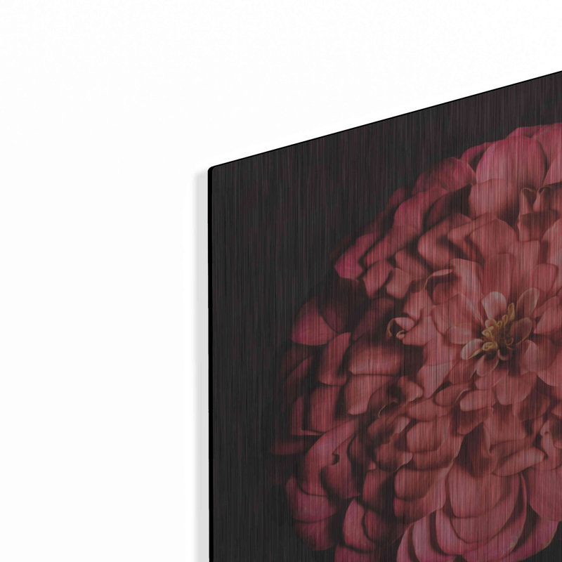 «Portrait of a Zinnia» par Leah McLean, H 12 po x l 12 po