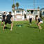 Ensemble de jeu GoSports Slammo PRO - Roundnet Beach