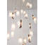 25 - Light Cluster Globe Pendant-27796786-124966273