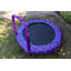 48" JumpKing Princess Mini Trampoline