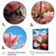 Tulipes «Fields of Color II», impressions murales florales-1551930881-1551930891