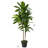48 " H Faux Dracaena Plant Plastic